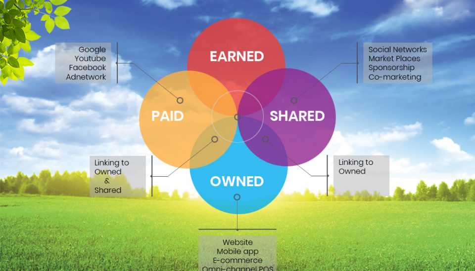 DFB Hanco Digital Transformation