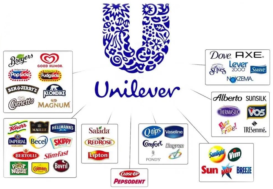 Sơ đồ hệ sinh thái thương hiệu của Unilever với các nhánh sản phẩm tiêu dùng nổi bật toàn cầu
