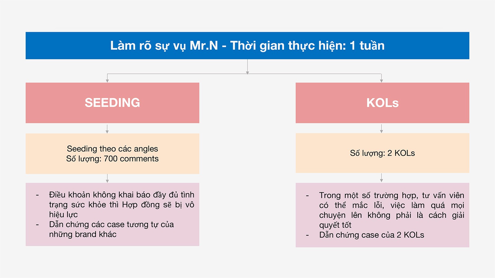 strategy supporting Risk Navigation & Data management.